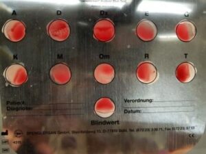 spenglersan_03